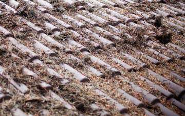 Renhold roof cleaning companies